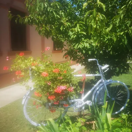 Cyclocamp & Hostal *