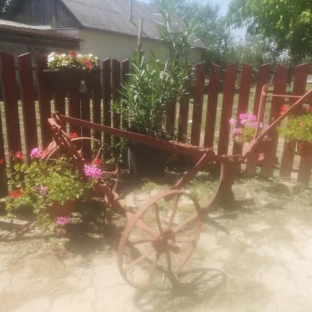 Hostal Cyclocamp & Skorenovac