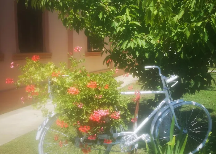 Cyclocamp & ホステル *